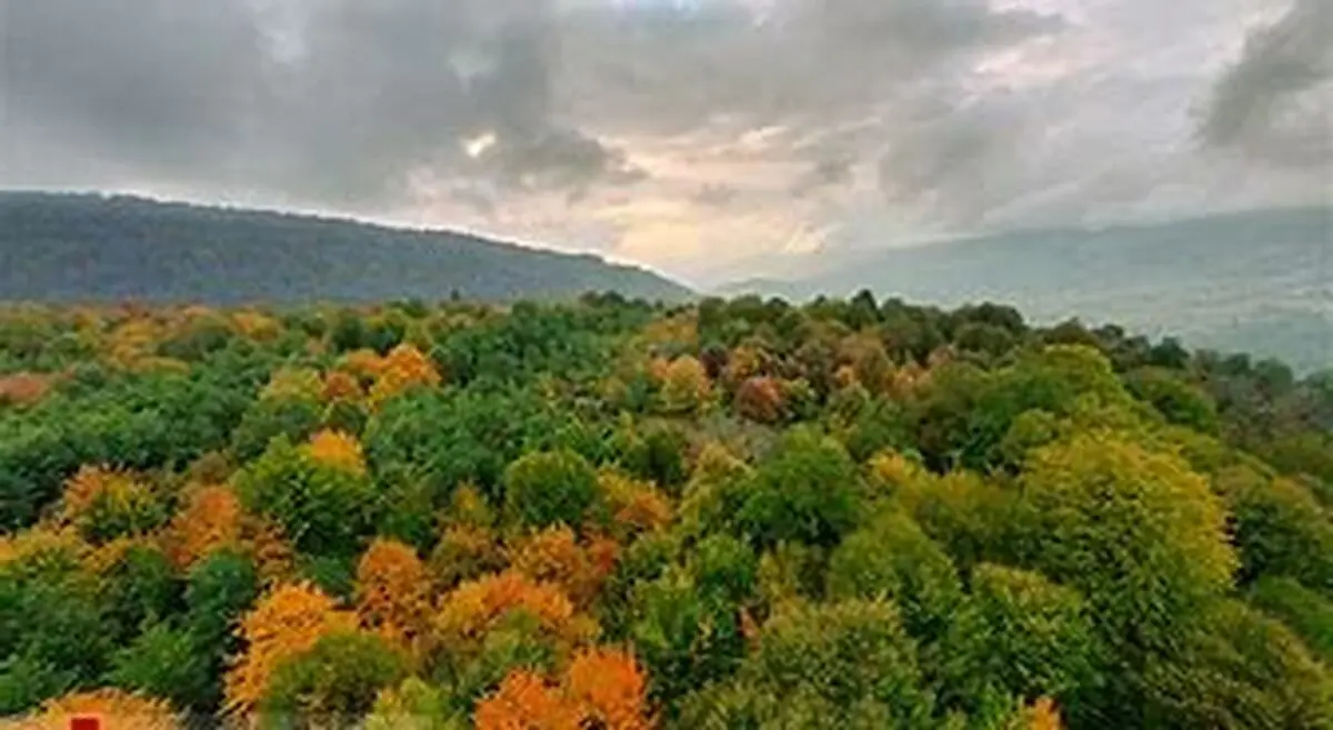 درخواست رسمی برای تشکیل استان مازندران غربی؛ مطالبه‌ای تاریخی در انتظار تحقق