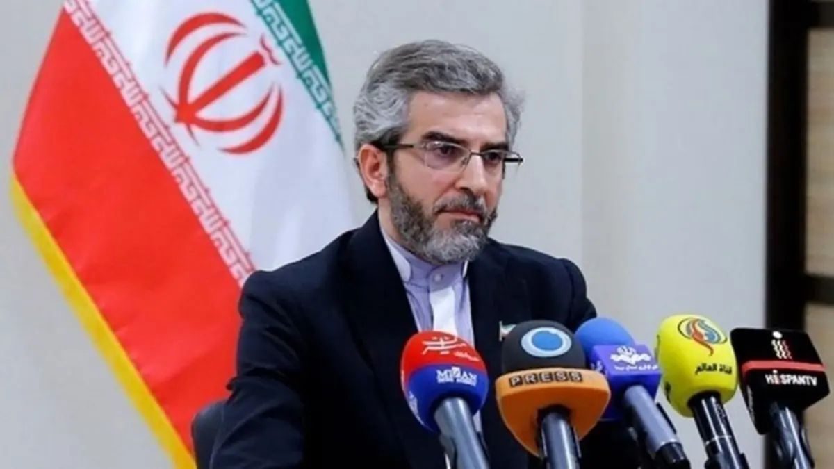 اظهارات مهم مذاکره کننده ارشد ایران درباره  نشست روز دوشنبه ایران و ۱+۴ 