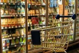 نان، مرغ و تعمیر خودرو صدرنشین شکایات مردمی