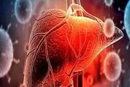 دشمن کبد را از رژیم غذایی خود حذف کنید