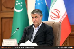 ۲۰ متری مرزهای کشور  تونل‌های ضدعفونی راه اندازی میشود
