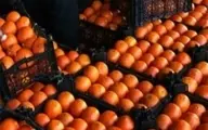 قیمت پرتقال در باغ دو هزار تومان؛ فروش در بازار ۲۰ هزار تومان
