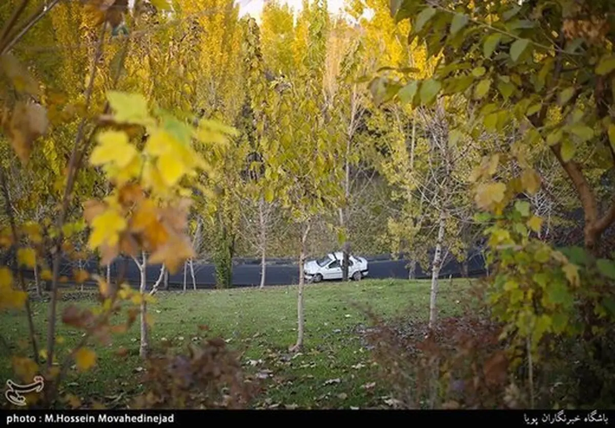 هوای تهران بالاخره سالم شد