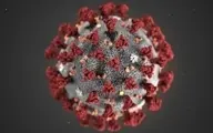  شناسایی ویروس جهش یافته جدید کرونا در سرزمین‌های اشغالی