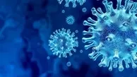 
تحقیقات جدید: ذرات ویروس کرونا می‌تواند مدت طولانی‌تری در هوا بماند
