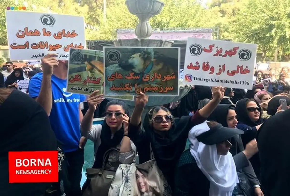 تجمع اعتراضی در مقابل شهرداری تهران به خاطر سگ کشی