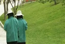 یک بام و دو هوای بازگشایی بوستان های شهر