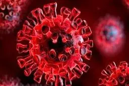 بار اصلی بیماری استان کرمان کروناست|وضعیت شهرهای کرمان، سیرجان و رفسنجان نگران کننده است