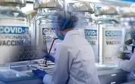 تولید انبوه یک‌میلیون دوز واکسن کرونا تا خرداد ۱۴۰۰ | رویکرد واکسیناسیون برای افراد مختلف