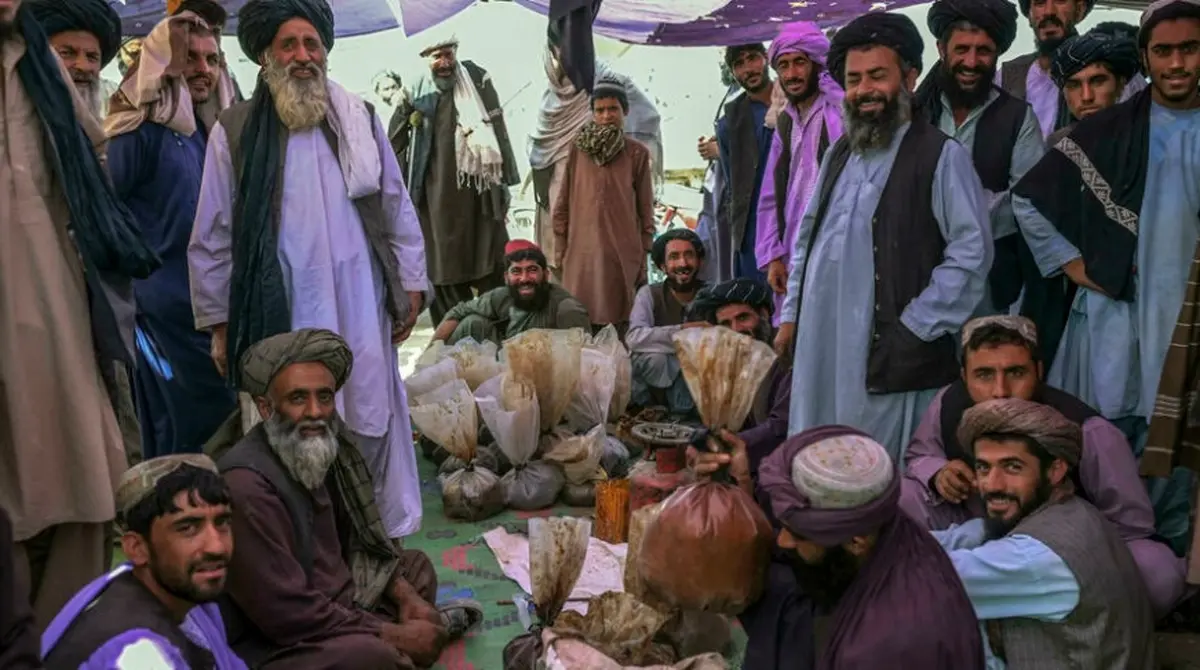 ۳ برابر شدن قیمت مواد مخدر با تسلط طالبان بر افغانستان