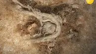 کشف قدیمی‌ترین طناب از دوران نئاندرتال! 
