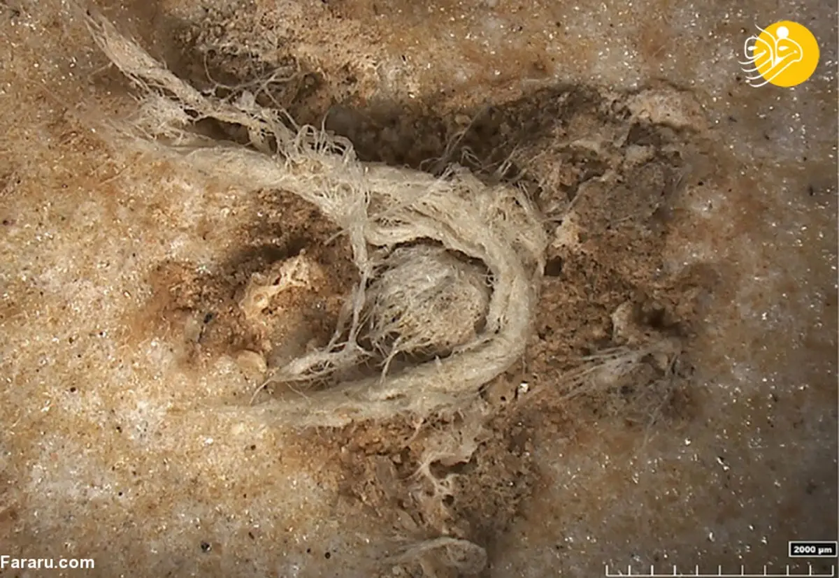 کشف قدیمی‌ترین طناب از دوران نئاندرتال! 