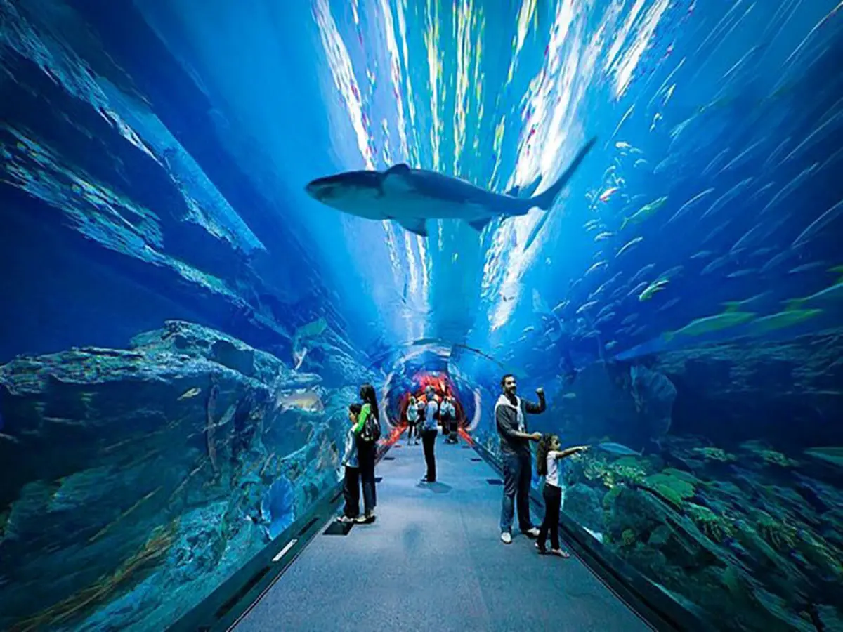 با ترسناک ترین تونل وحشت دنیا آشنا شوید | تونل باغ وحش چیست؟