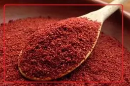 خواص شگفت‌انگیز سماق برای بدن