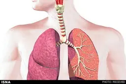 غیرسیگاریها دچار بیماری ریوی می‌شوند
