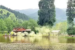 افت شدید تقاضای گردشگری در شمال | بوم‌گردی «شمال» فلج شد | کسب‌‌وکارمان فلج شد