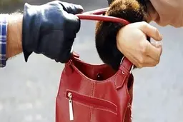 توصیه پلیس تهران: در زمان سرقت مقاومت نکنید! + ویدئو 