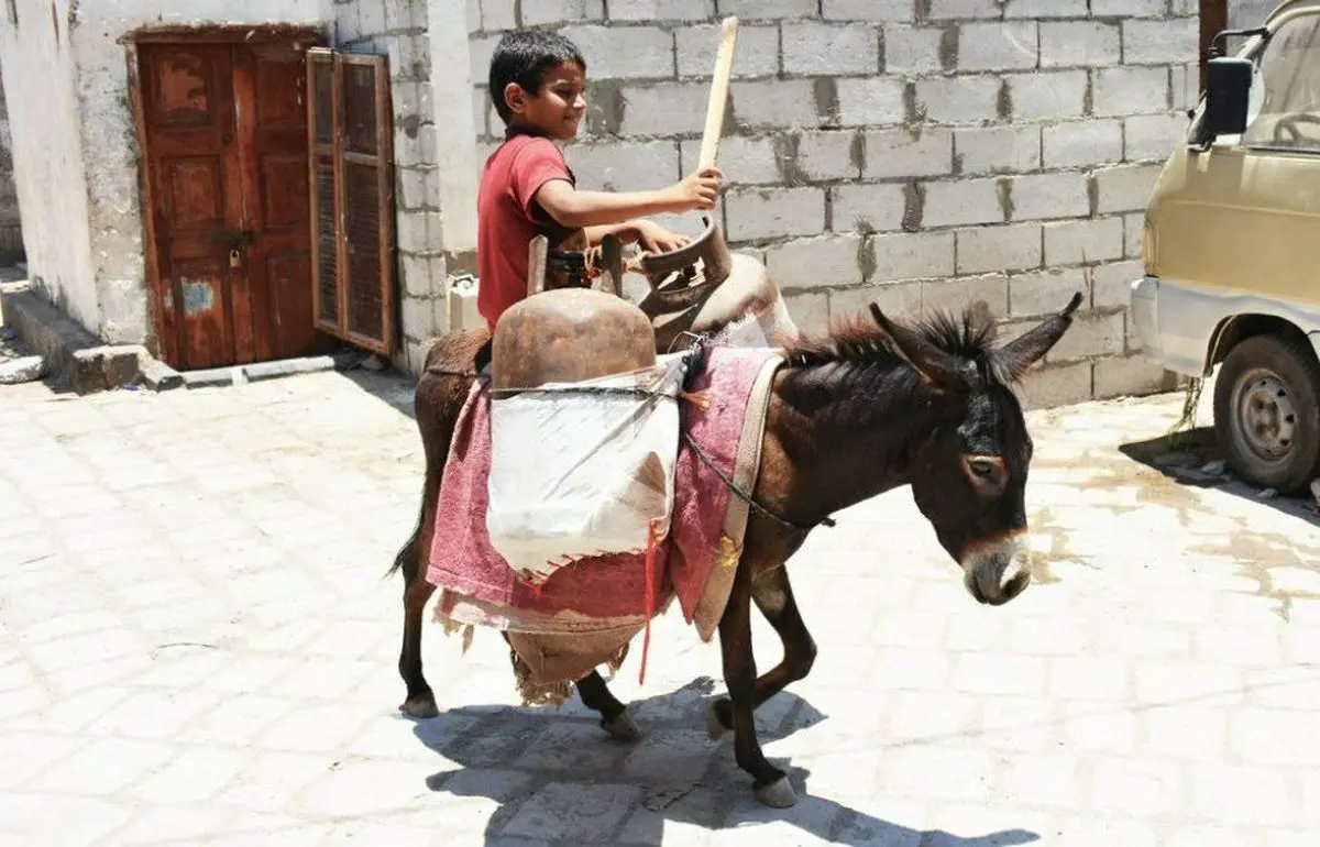 الاغ، دارایی ارزشمند مردم یمن 