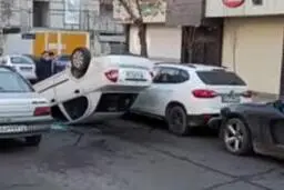چپ کردن عجیب تیبا به آسانی هرچه تمام‌تر!+ویدئو