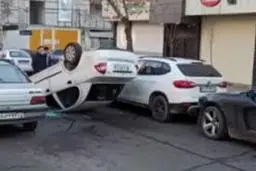 چپ کردن عجیب تیبا به آسانی هرچه تمام‌تر!+ویدئو