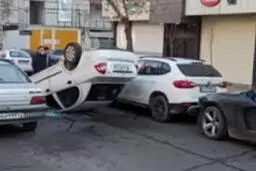 چپ کردن عجیب تیبا به آسانی هرچه تمام‌تر!+ویدئو
