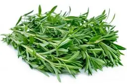 خواص و فواید فراوان گیاهان دارویی برای سلامت  قلب