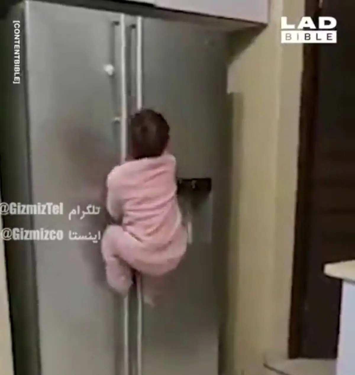 کودکی که واقعاً از دیوار راست بالا می‌رود!+ویدئو