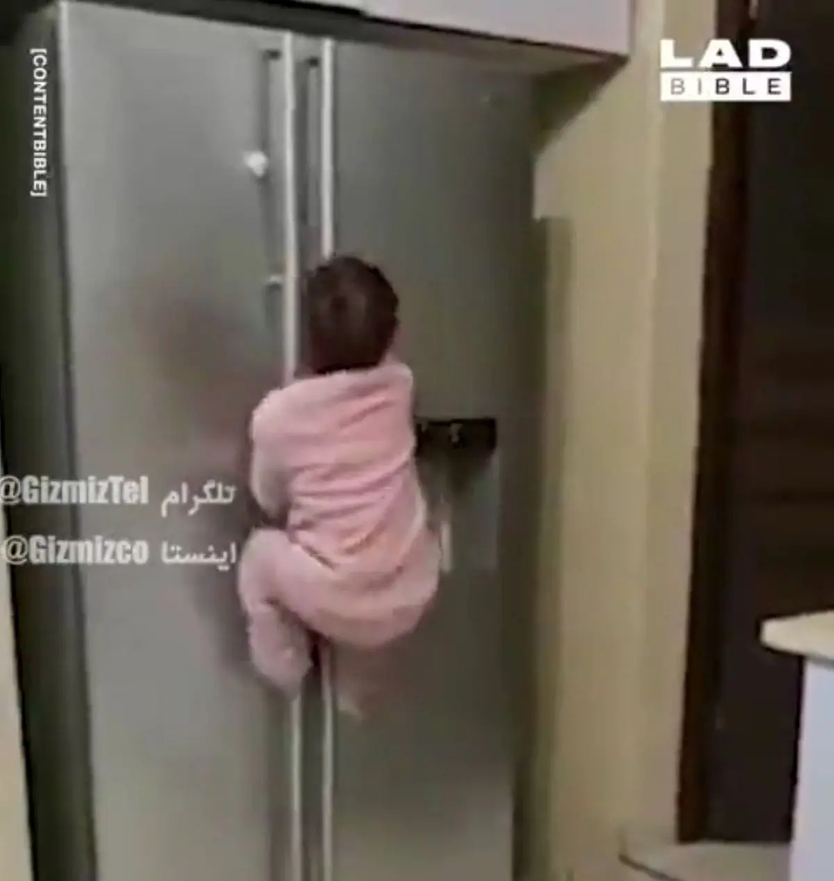 کودکی که واقعاً از دیوار راست بالا می‌رود!+ویدئو