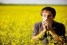 راهکارهای طب سنتی برای پیشگیری و درمان حساسیت‌های بهاره