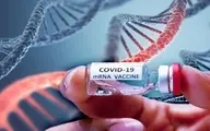 مجوز تست انسانی واکسن mRNA ایرانی کرونا صادر نشده است 