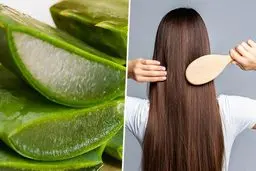  درمان های سنتی برای رشد مجدد طبیعی مو