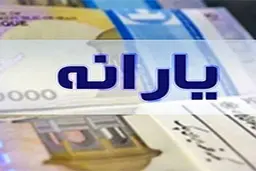 یارانه بیش از ۶.۵ میلیون مشتری بانک ملی ایران پرداخت شد