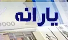 یارانه بیش از ۶.۵ میلیون مشتری بانک ملی ایران پرداخت شد