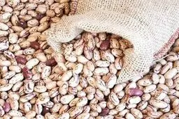 سبقت لوبیا چیتی ازدلار و طلا | قیمت نجومی لوبیا چیتی 