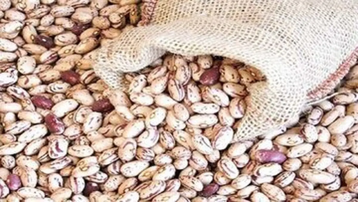 سبقت لوبیا چیتی ازدلار و طلا | قیمت نجومی لوبیا چیتی 