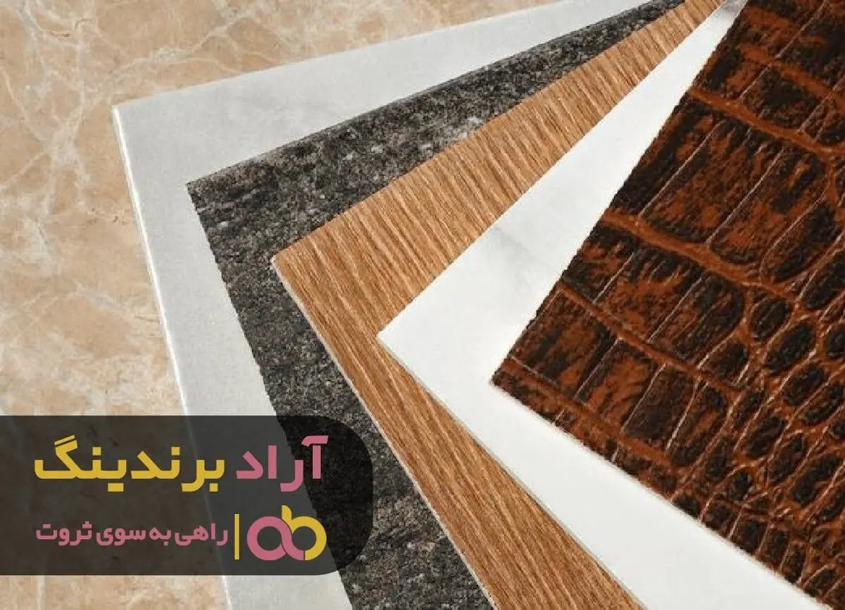 من به درآمد کم قانع نبودم و مسیرش را پیدا کردم