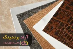 من به درآمد کم قانع نبودم و مسیرش را پیدا کردم