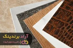 من به درآمد کم قانع نبودم و مسیرش را پیدا کردم