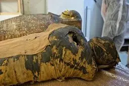 تجاوز مداوم یک مرد به مومیایی ۲۵۰۰ ساله در موزه+تصویر 