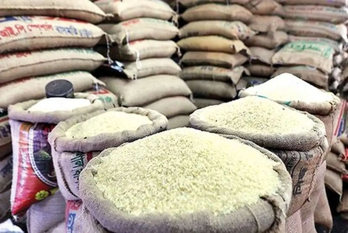قیمت برنج همچنان در کانال ۴۵۰ تا ۵۵۰ هزار تومان | بازار در انتظار اثر برداشت محصول جدید