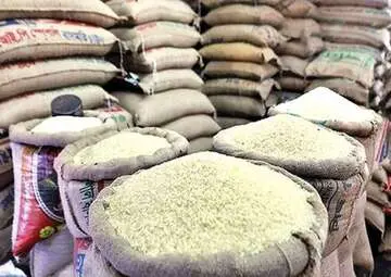 قیمت برنج همچنان در کانال ۴۵۰ تا ۵۵۰ هزار تومان | بازار در انتظار اثر برداشت محصول جدید