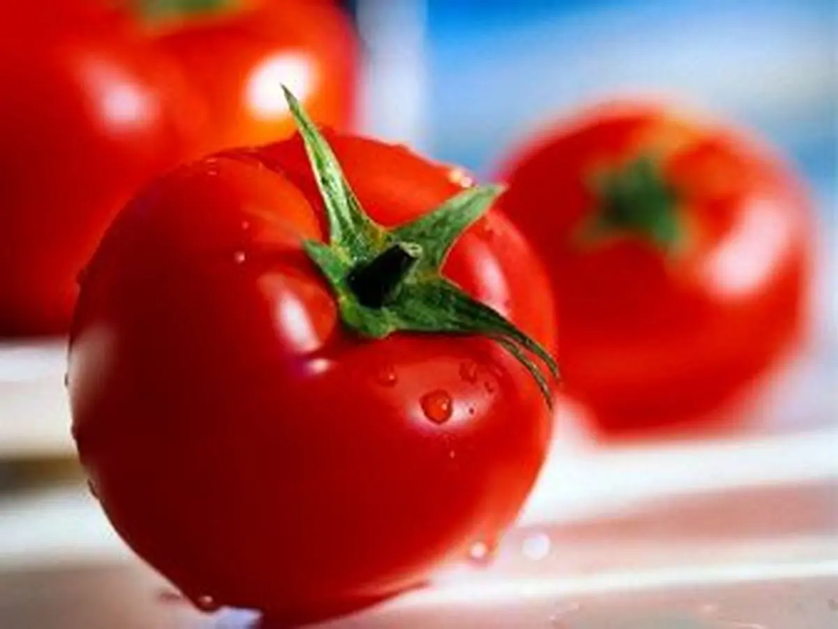   کدام قسمت گوجه فرنگی سمی است؟