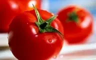   کدام قسمت گوجه فرنگی سمی است؟