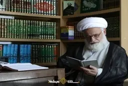 واکنش آیت الله غروی به مداحی اخیر: این حکایت، عوامانه است و صحت ندارد
