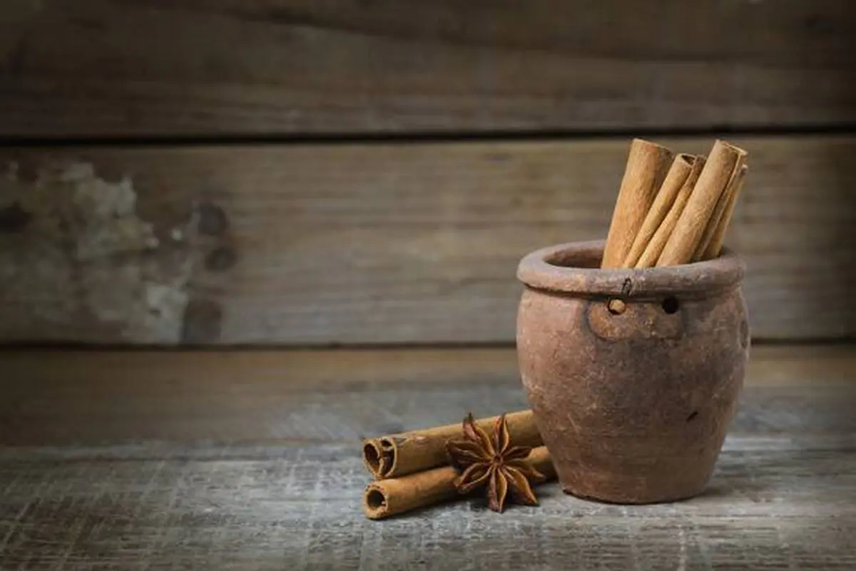 خطرات مصرف زیاد دارچین | خانم های باردار مراقب باشند 