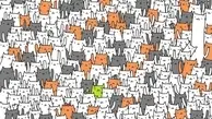 تست سرعت عملکرد چشم: خرگوش پنهان شده در میان گربه ها را بیابید + تصویر
