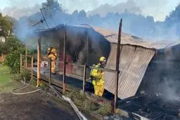 اختصاص سازمان ملل ۱۴ میلیون دلار به پناهندگان روهینگیا 