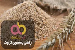 فواید آرد سوخاری نان لواش برای طوطی