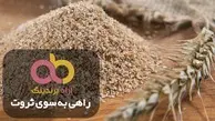 فواید آرد سوخاری نان لواش برای طوطی