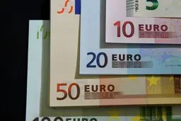 
 نگهداری بیش از ۱۰ هزار یورو مصداق قاچاق ارز است

